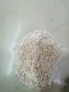 Zhu Guang 01 Shallow Snow Bud Flower Core Gypsum 01 details Picture